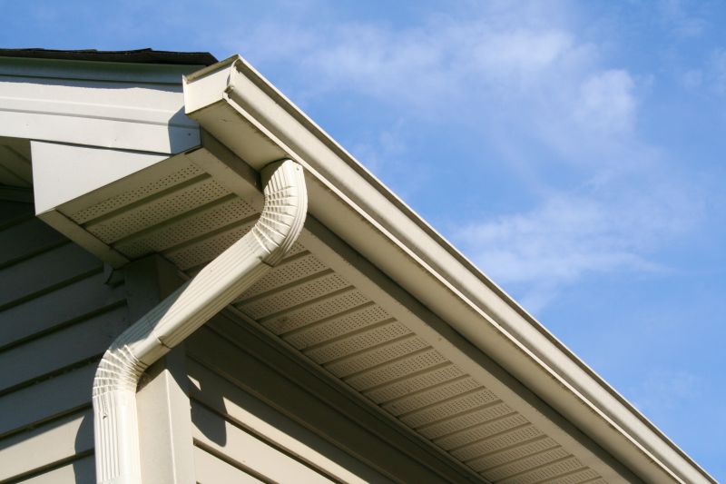 Gutter Cover on Roofline